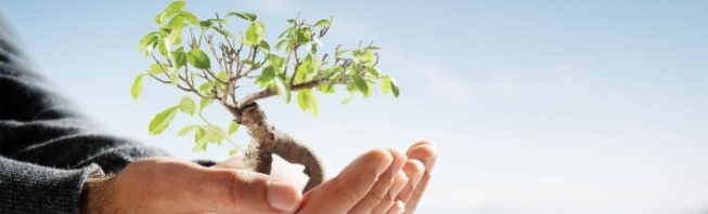 Urzza Batteries Urzza Batteries